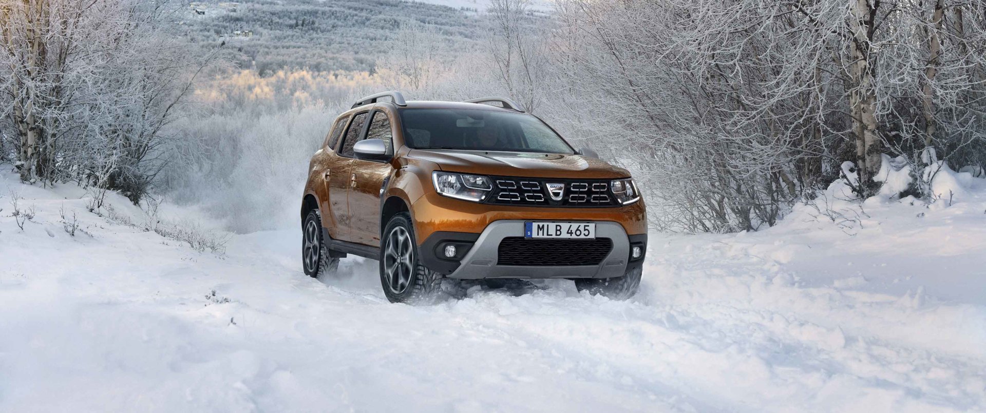 Välj en Dacia  bild