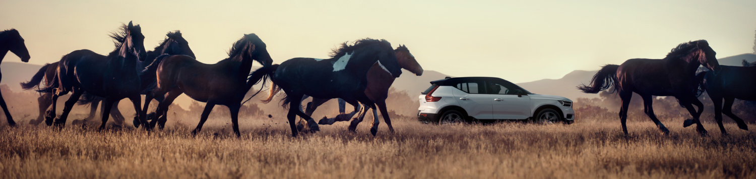 Nya Volvo XC40 T4<br>Recharge bild