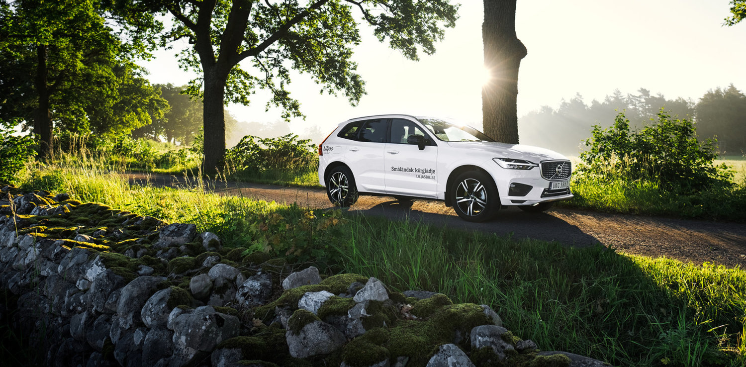 Xylem - Bilval hos Liljas bild